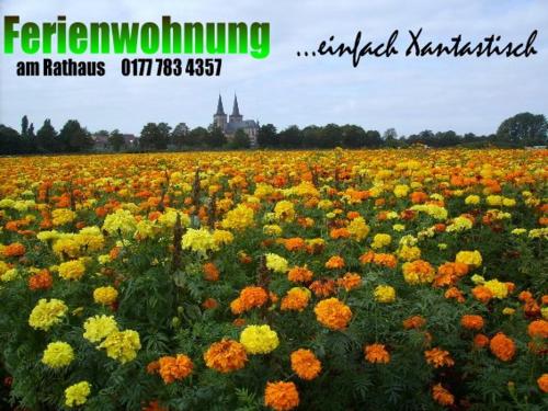 Ferienwohnung am Rathaus