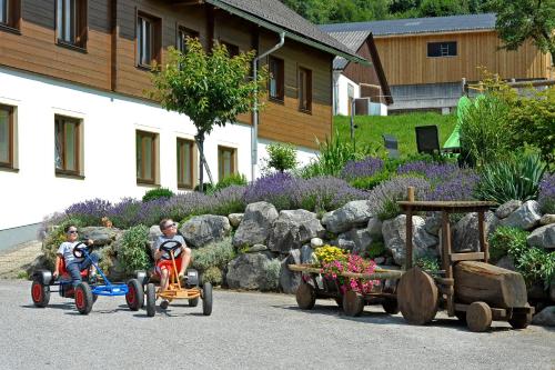 Kerschbaumerhof, Schladming (foto 10)