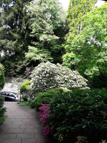 At the Lichtentaler Allee - Apartment - Baden-Baden