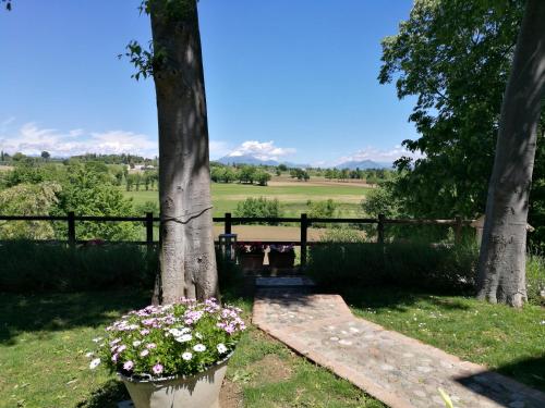 La Piana 4