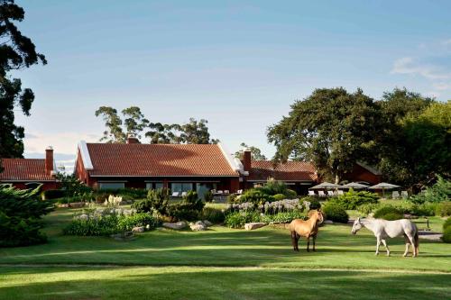 Estancia La Estrella - Chascomus