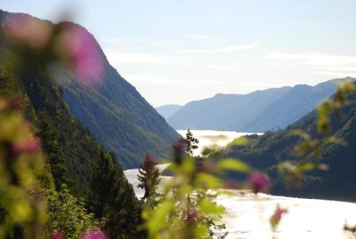 Dalen Bed & Breakfast - image 5