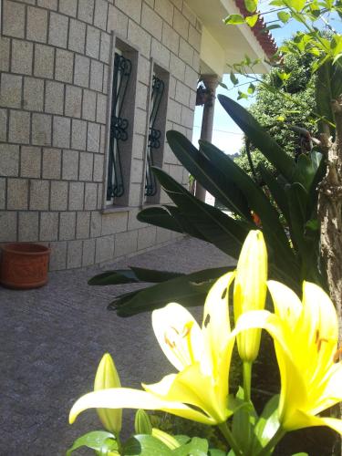 ทางเข้า, Villa d'Arcos in วิลลา โด คอนเด