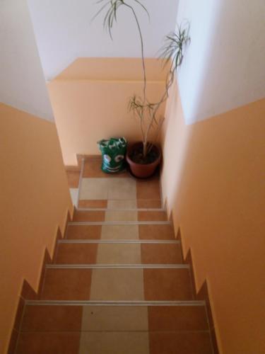 Apartments Salute - image 3