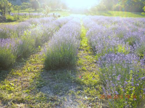  Agriturismo Le Fragranze, Varzi bei Menconico