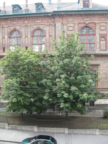 Pension Schottentor 5