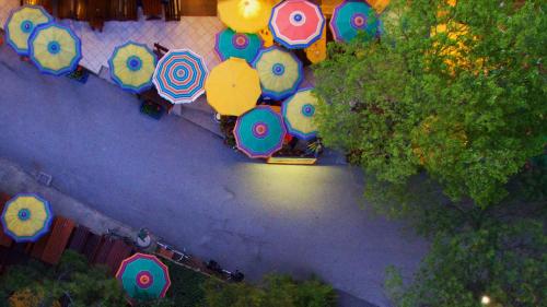 Campeggio Al Bosco 5