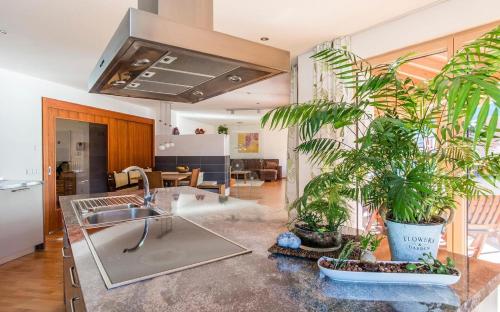 Apartment with Mountain View