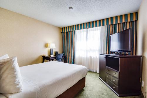 Junior Suite image 3