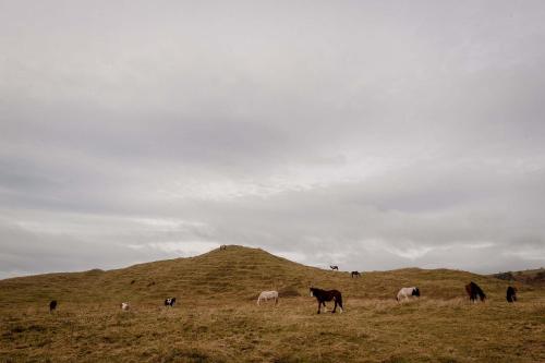 The Wild Atlantic Hideaway