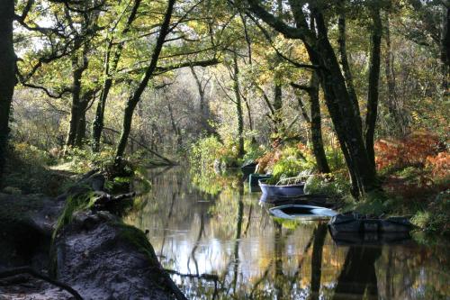 La Villa de l'Etang Blanc