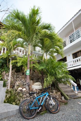 

The Rock House Hostel