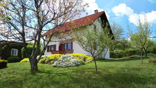 Guest House Kolić - Drežnik Grad