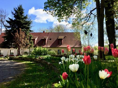 Schloss Plaue - image 4