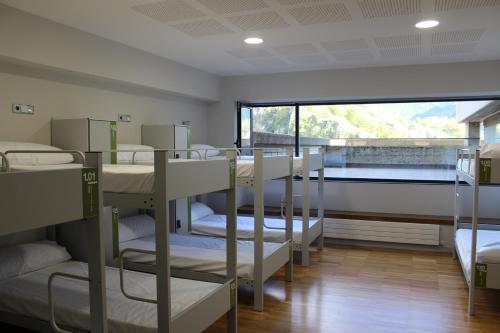 Single Bed in Mixed Dormitory Room