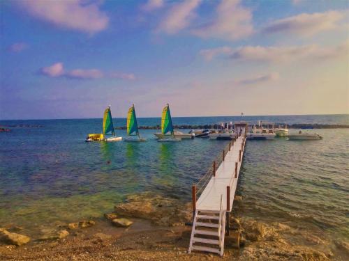 playa, 777 Beach Guesthouse in Pafos