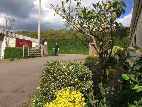 Sid Valley Country House Hotel - image 11