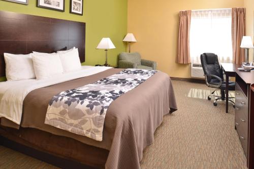 King Room image 1