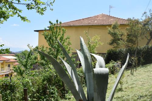 Accommodation in Prignano Cilento