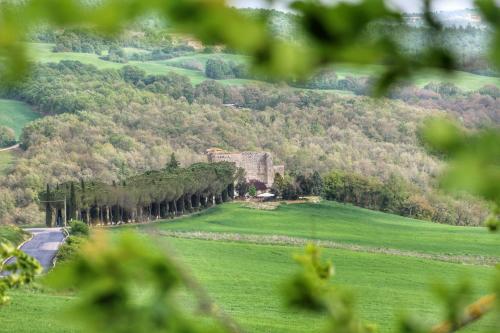 Bed & Breakfast Castello Di Belforte - image 12