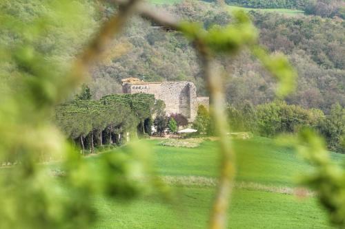 Bed & Breakfast Castello Di Belforte - image 4