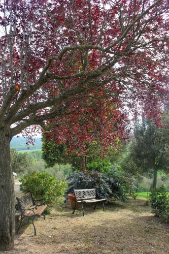 Bed & Breakfast Castello Di Belforte - image 2