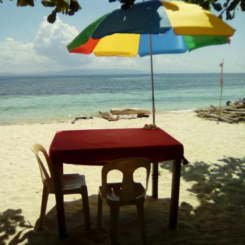 ビーチ, シャーリーズ コテージ (Shirley's Cottage - Pamilacan Island) in パミラカン アイランド