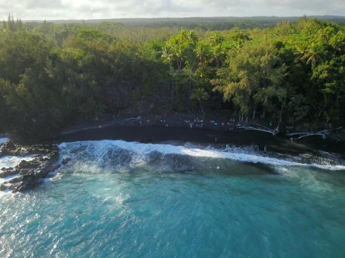 Coconut Palms Vacation Rental near lava fields and beaches thumb 3
