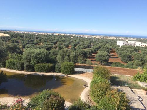  Appartamento Giardinelli - Giulia in Fasano