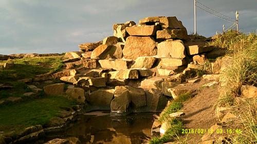 OLIVERS (over 35 years only ) - image 14