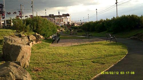 OLIVERS (over 35 years only ) - main image