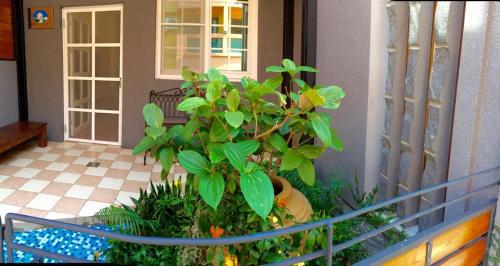 ナン ワン キキ B&B8