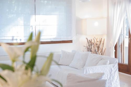 Naftilos Villa Sani with private Pool Naftilos Villa Sani with private Pool