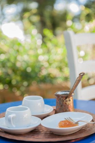 Naftilos Villa Sani with private Pool Naftilos Villa Sani with private Pool