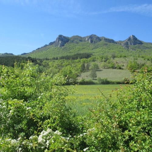 Appartement entre Sisteron et Gorges de la Méouge " Les Hauts de Toscane "