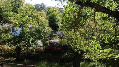 Finca Valbono Apartamentos Rurales y Hotel - main image