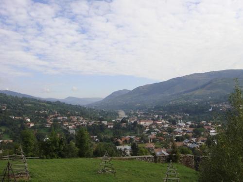 Pension Valea Negrasului - image 11