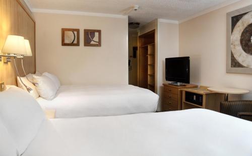 Standard Double Room with Two Double Beds