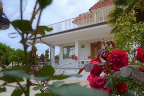 Guesthouse Holiday Formia beach 3