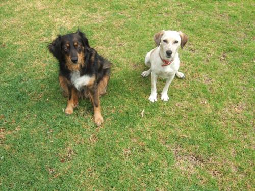 SCALA APARTS & STUDIOS - Rhodes SCALA APARTS & STUDIOS - Rhodes