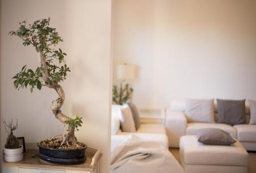  La Rosa dei Sensi Luxury Villa Apt 1 in Montecarlo