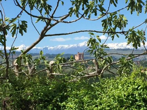 Cascina Baresane - image 2