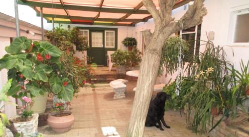 Garden, Van Rhyn Guest House in Vanrhynsdorp