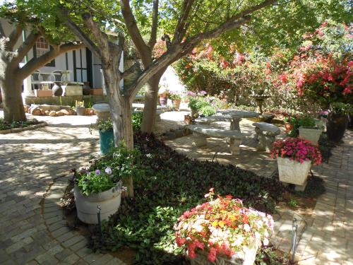 Garden, Van Rhyn Guest House in Vanrhynsdorp