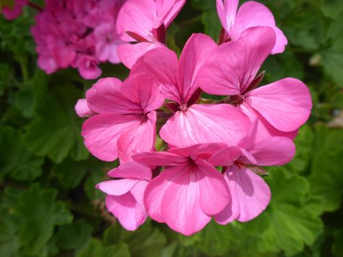 Studios Resbithas Studios Resbithas