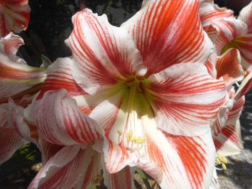 Studios Resbithas Studios Resbithas