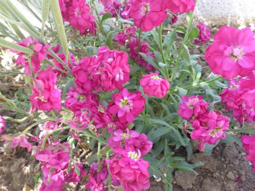 Studios Resbithas Studios Resbithas