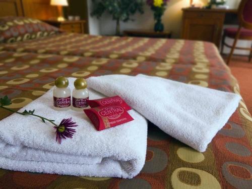 Hotel Central - image 9