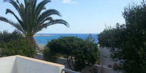Garden, Villa Xenia in Makris Gialos