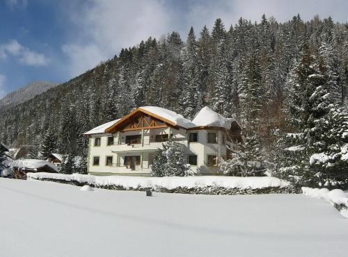 Diana in Pettneu am Arlberg, Österreich
